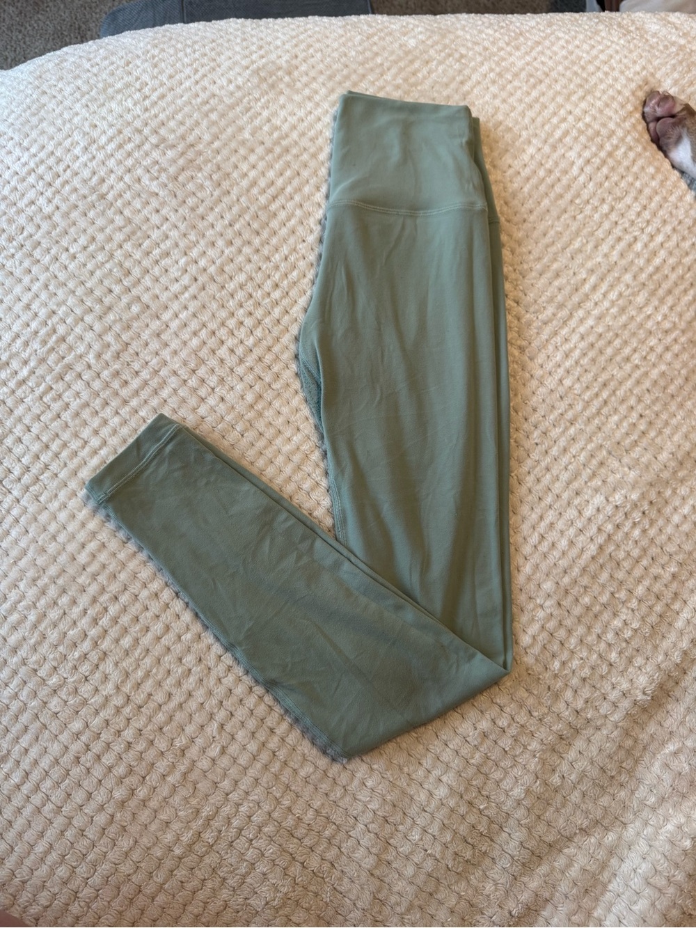 Lululemon Align 28” Leggings in Sage Green